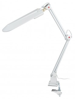 Настольная лампа Эра NL-201-G23-11W-W C0041457